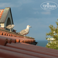 фото из отзыва ID 1430910