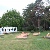 фото из отзыва ID 1430910