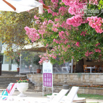 фото из отзыва ID 1430910