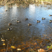 фото из отзыва ID 1435276