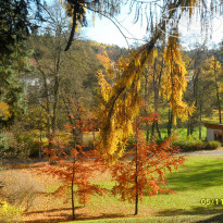 фото из отзыва ID 1435276