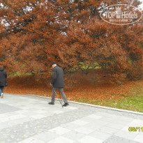 фото из отзыва ID 1435276