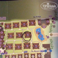 фото из отзыва ID 1430241