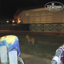 фото из отзыва ID 1436810