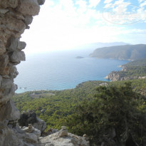 фото из отзыва ID 1436810