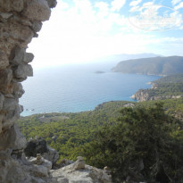 фото из отзыва ID 1436810