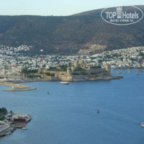 фото из отзыва ID 144383