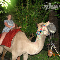 фото из отзыва ID 1440053