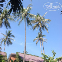 фото из отзыва ID 1440160