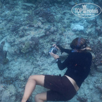 фото из отзыва ID 1440196