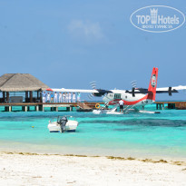 фото из отзыва ID 1440196