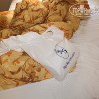 фото из отзыва ID 1440320