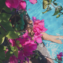 фото из отзыва ID 1440423