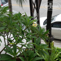 фото из отзыва ID 1440490