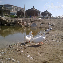 фото из отзыва ID 1440573