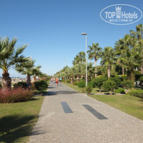 фото из отзыва ID 1440618