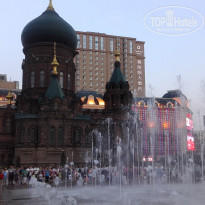 фото из отзыва ID 1440866