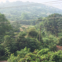 фото из отзыва ID 1440964