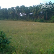 фото из отзыва ID 1440964