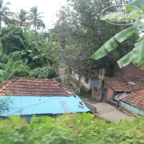 фото из отзыва ID 1441026