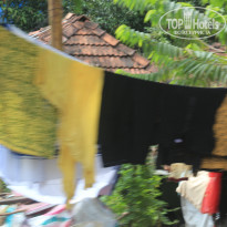 фото из отзыва ID 1441026