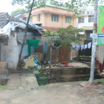 фото из отзыва ID 1441026