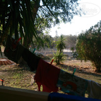 фото из отзыва ID 1441077