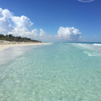 фото из отзыва ID 1441201