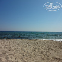 фото из отзыва ID 1441242