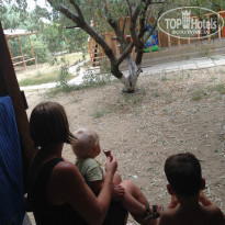 фото из отзыва ID 1441192