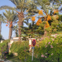 фото из отзыва ID 1441290