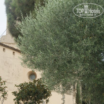 фото из отзыва ID 1441401