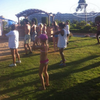 фото из отзыва ID 1441448