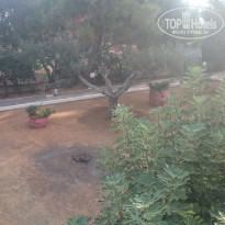 фото из отзыва ID 1441469