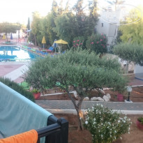 фото из отзыва ID 1441469