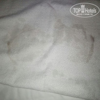 фото из отзыва ID 1441471