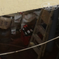 фото из отзыва ID 1441530