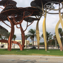 фото из отзыва ID 1441575