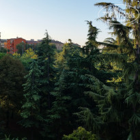 фото из отзыва ID 1441594