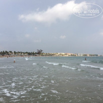 фото из отзыва ID 1441575