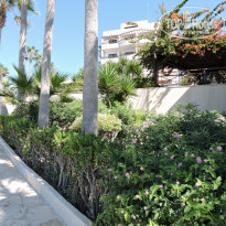 фото из отзыва ID 1441617