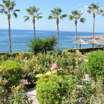 фото из отзыва ID 1441617