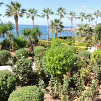 фото из отзыва ID 1441617