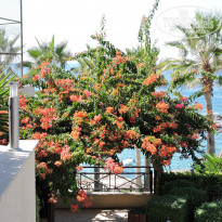 фото из отзыва ID 1441617