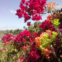 фото из отзыва ID 1441711