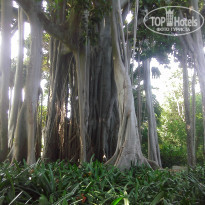 фото из отзыва ID 1441711