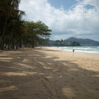 фото из отзыва ID 1441746