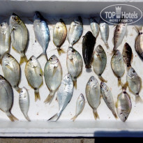 фото из отзыва ID 1441749