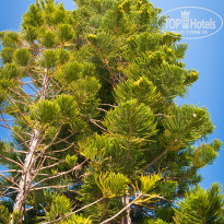 фото из отзыва ID 1441790