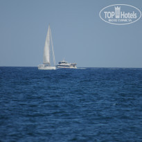 фото из отзыва ID 1441790